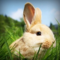 /album/ponunduva-studios/photolia-a03-jpg/