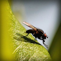 /album/ponunduva-studios/photolia-a04-jpg/