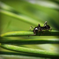 /album/ponunduva-studios/photolia-a05-jpg/